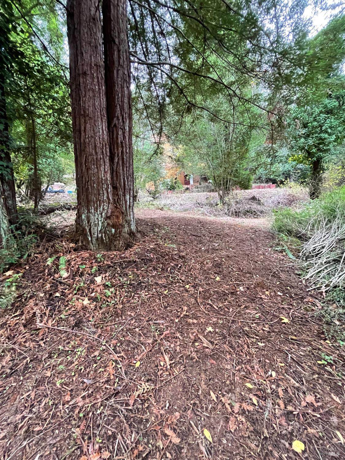 136 Lagunitas Road - Photo 1