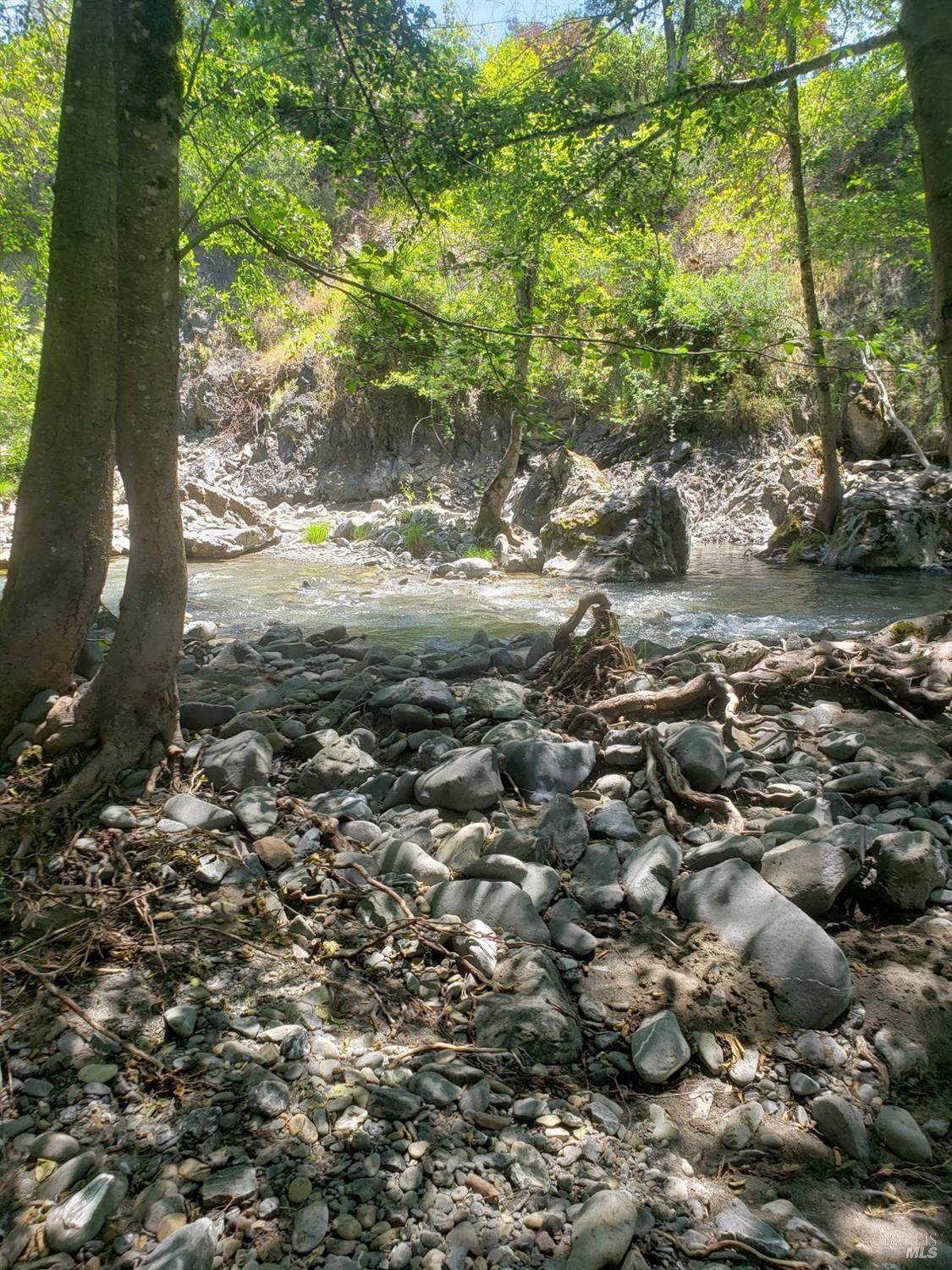 29890 Mendocino Pass Road - Photo 1
