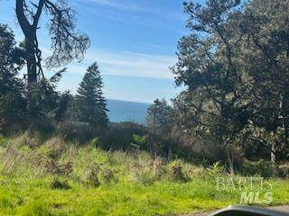 35411 Fly Cloud Road - Photo 1