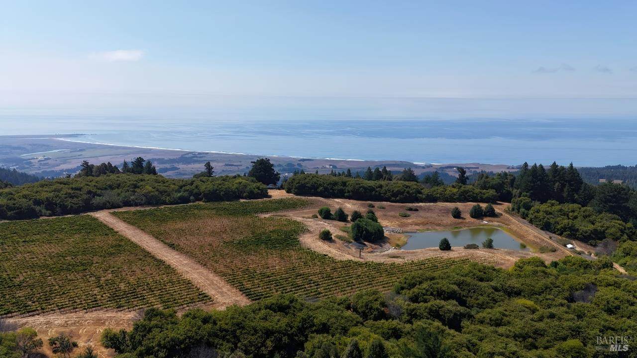39000 Crispin Road - Photo 1