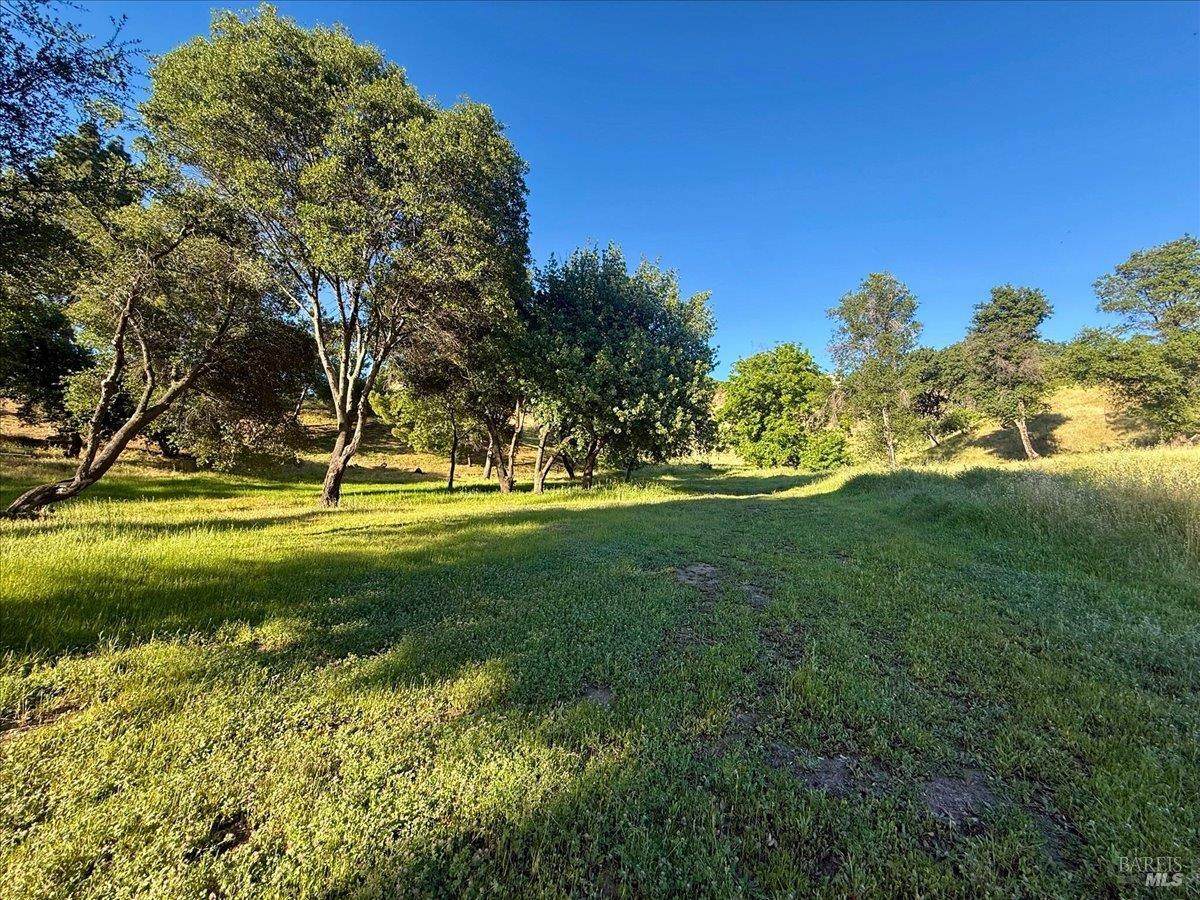 0 Gibson Canyon Road - Photo 1