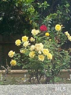 https://bt-photos.global.ssl.fastly.net/bareis/orig_boomver_1_91368094-2.jpg