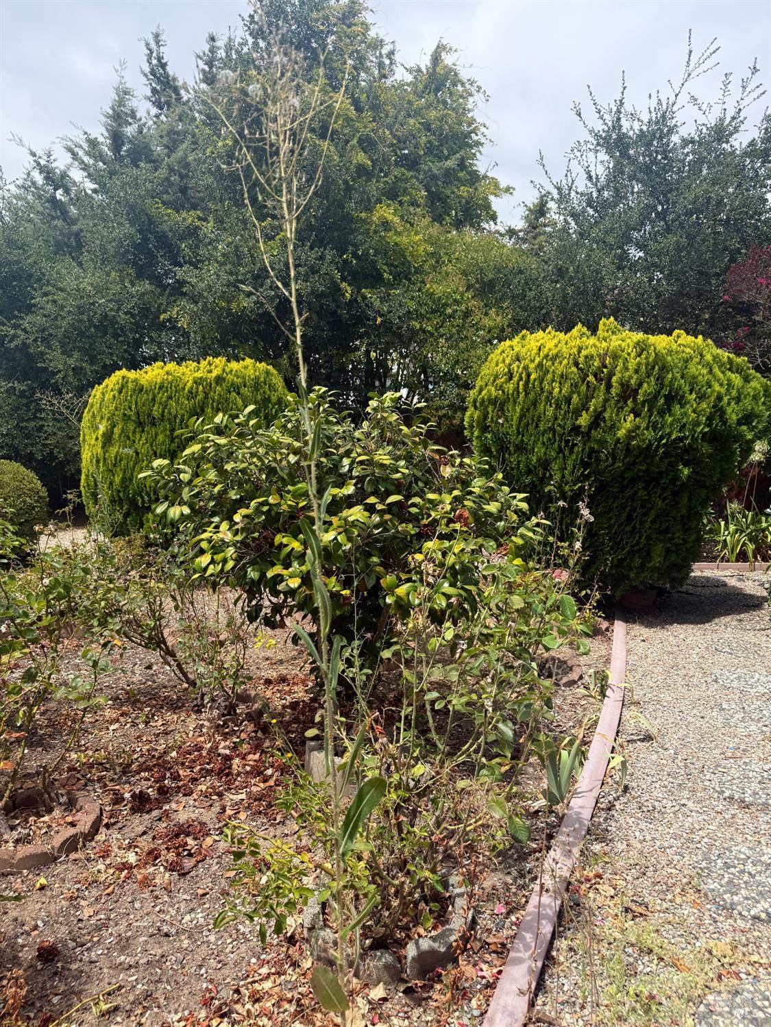https://bt-photos.global.ssl.fastly.net/bareis/1280_boomver_1_91433417-2.jpg