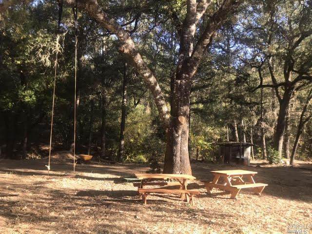 1 Dry Creek Road - Photo 1