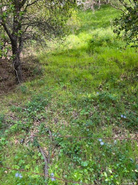 0 0 San Marin Drive - Photo 1