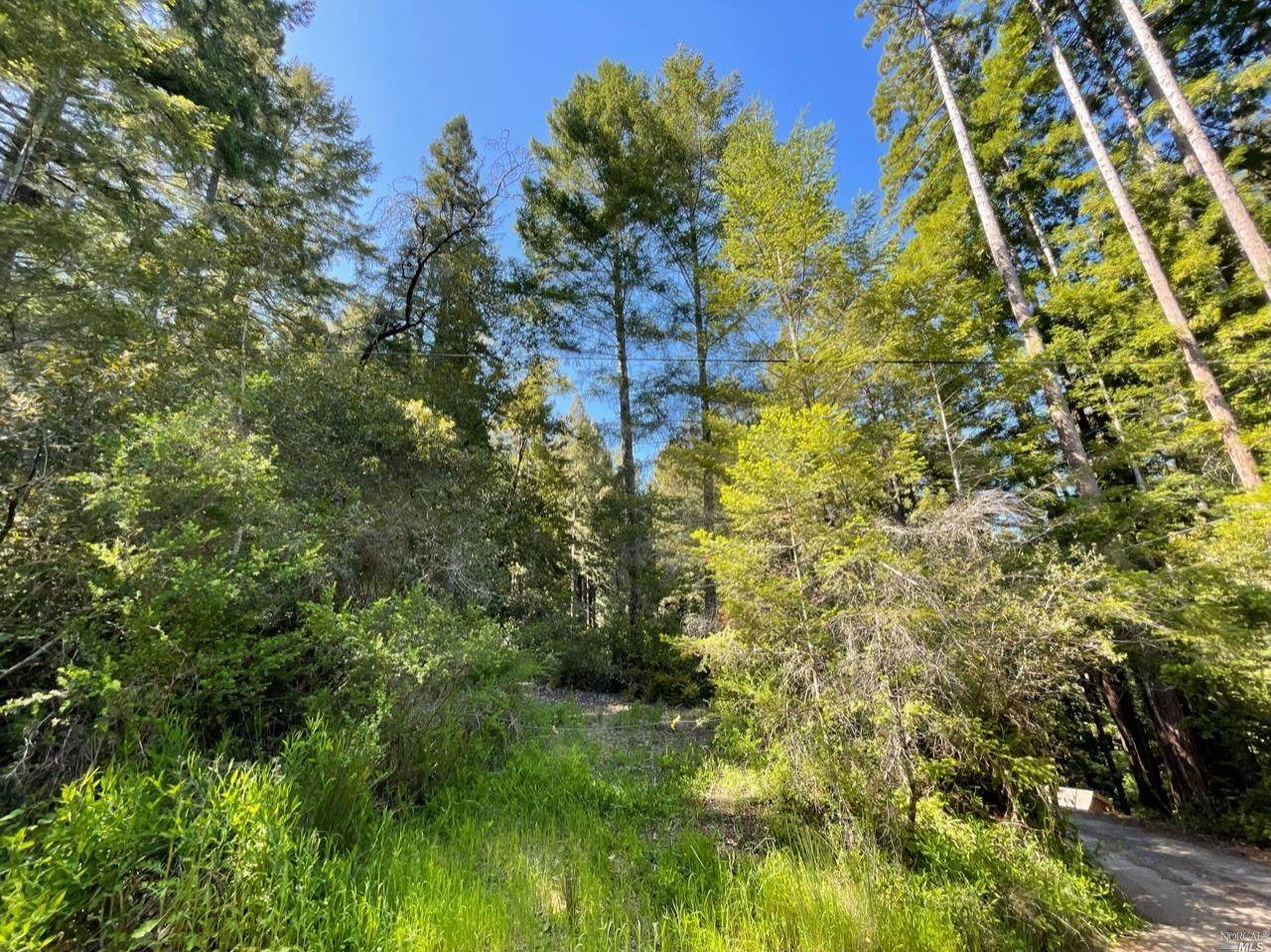 0 8235 Tyrone Road - Photo 1