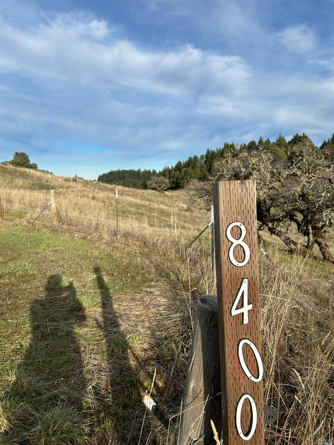 8400 Orr Springs Road - Photo 1