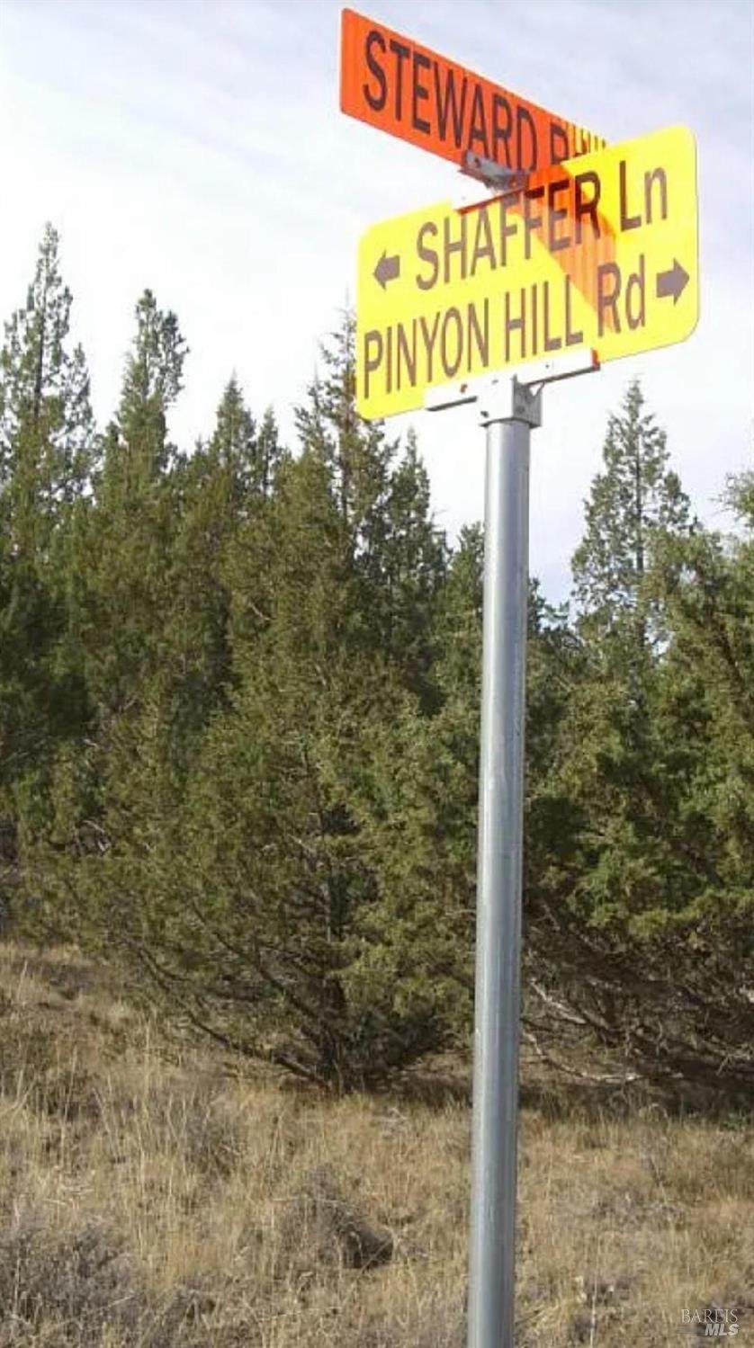 0 Schaffer Lane Road - Photo 1