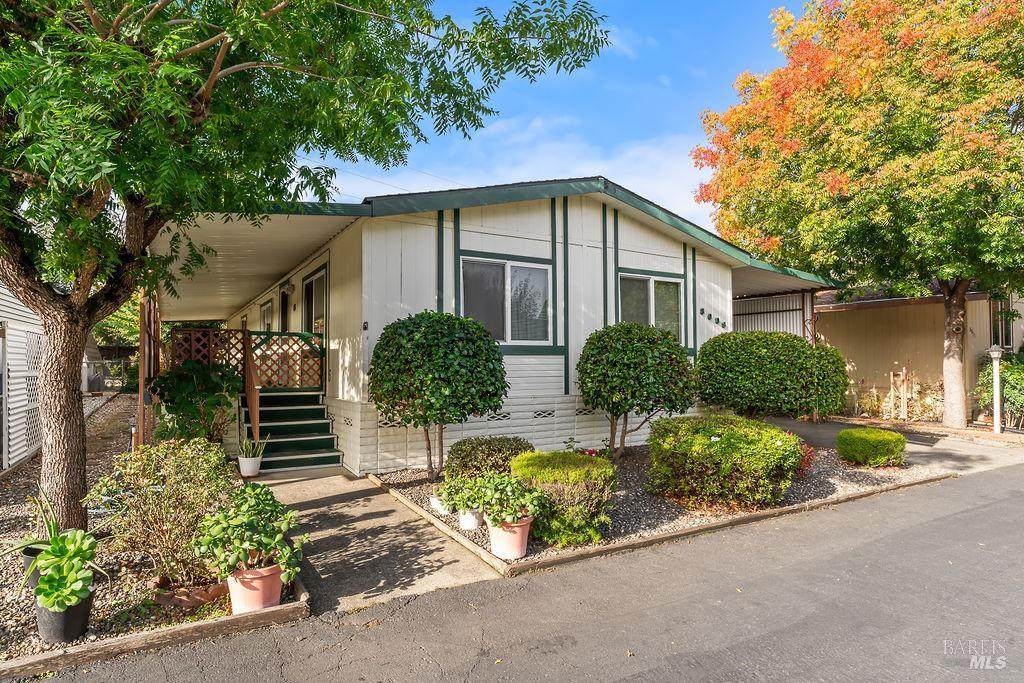 8009 Cliffrose Street - Photo 1