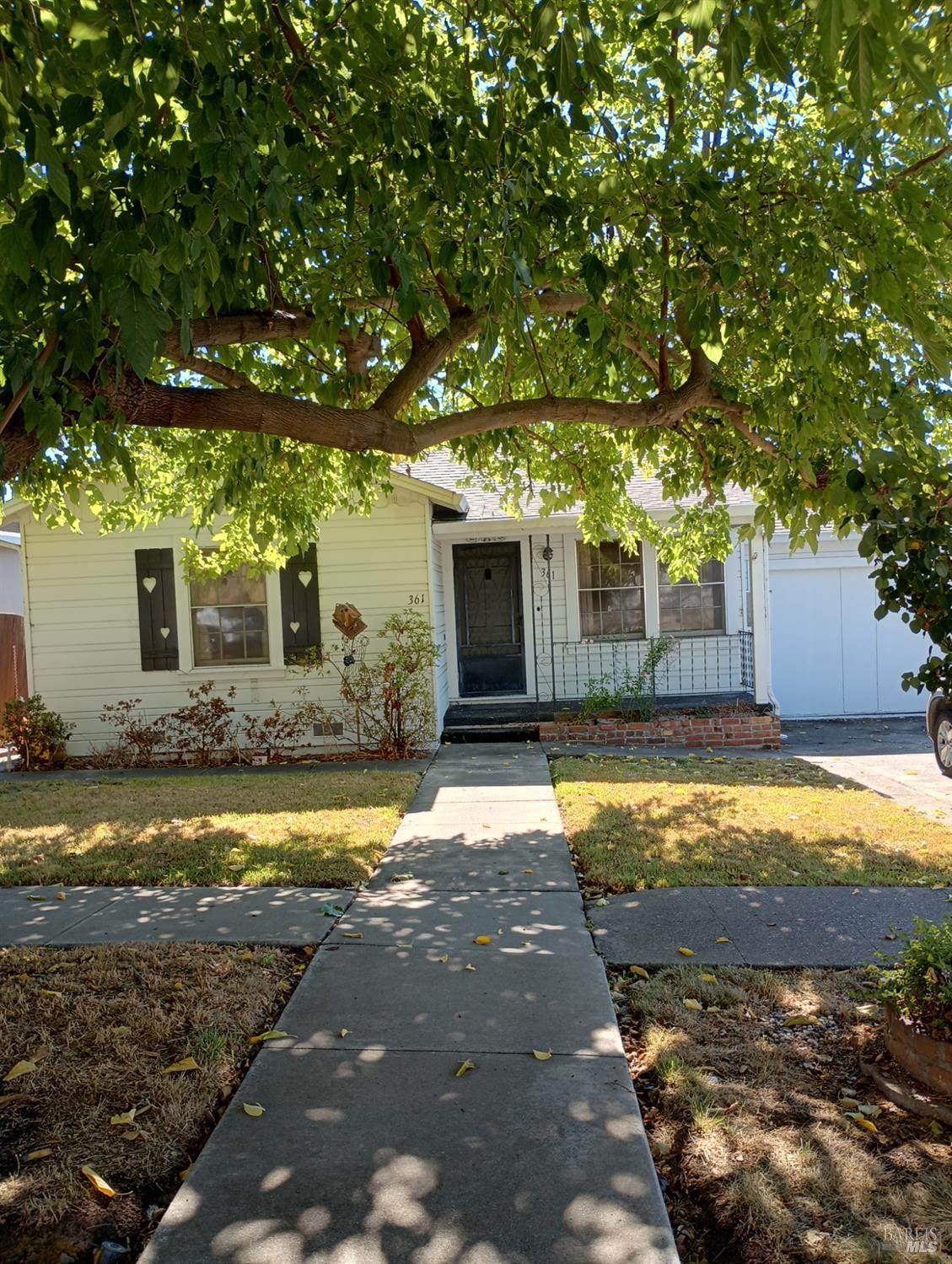 361 Steffan Street - Photo 1