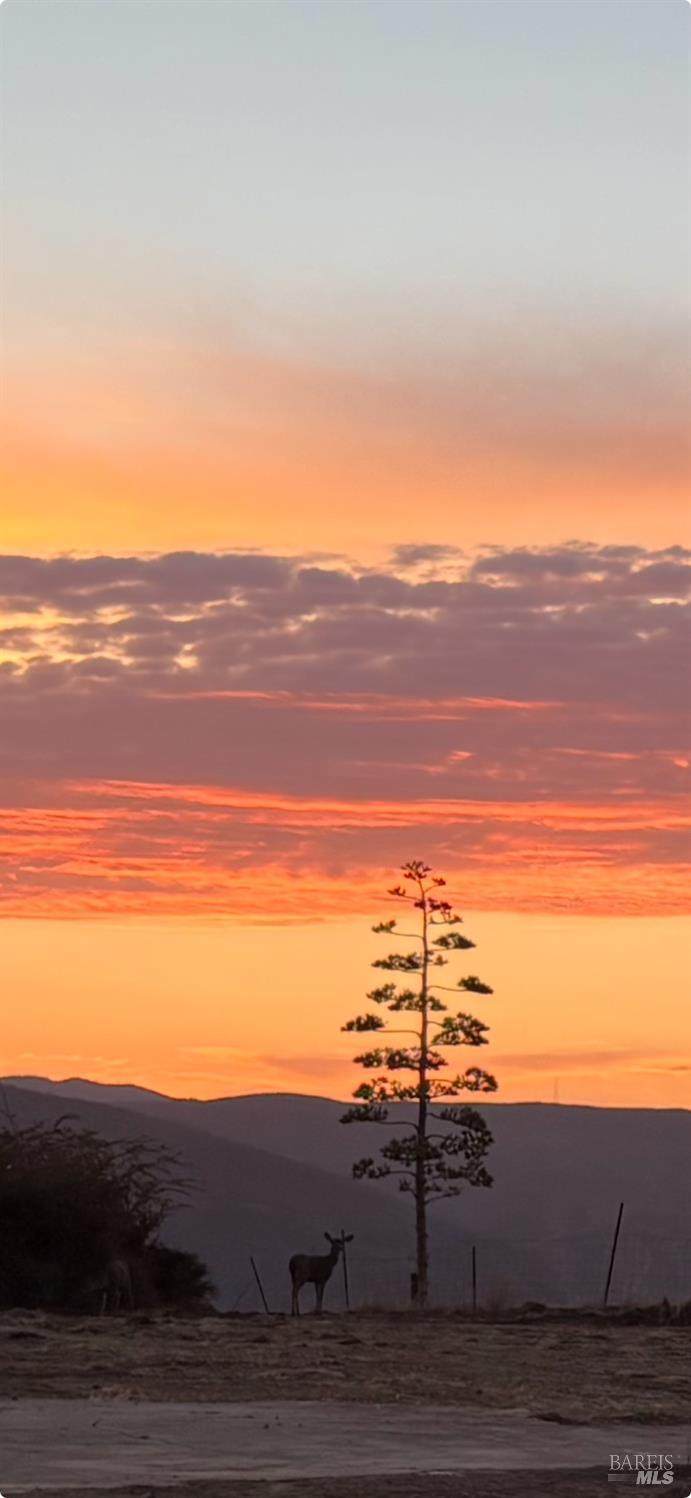 1065 Rimrock Drive - Photo 1