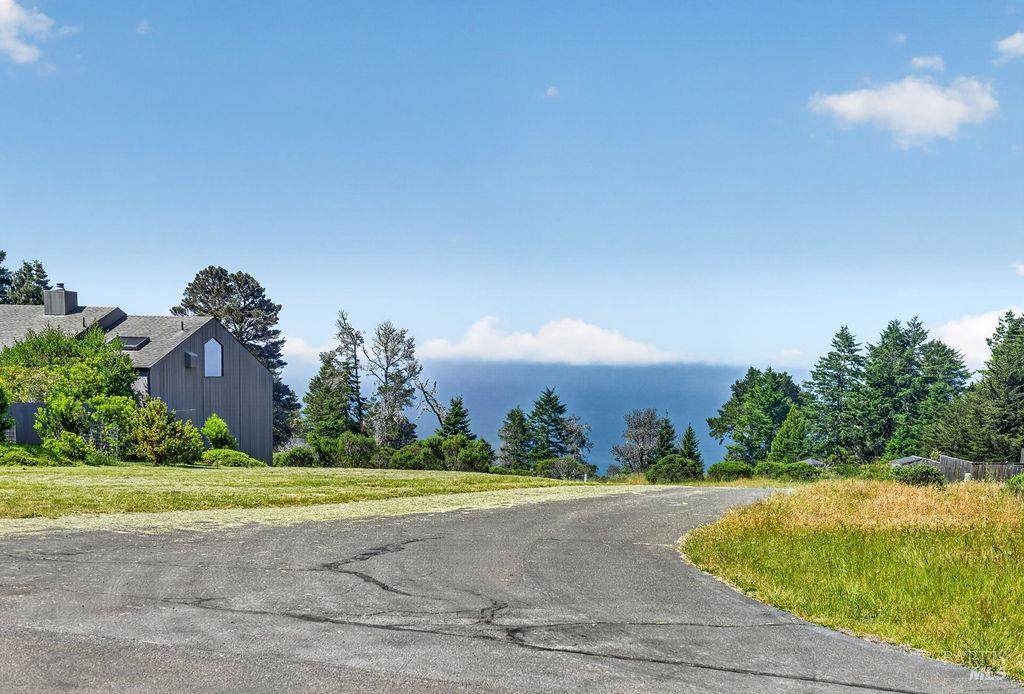35604 Timber Ridge Road - Photo 1