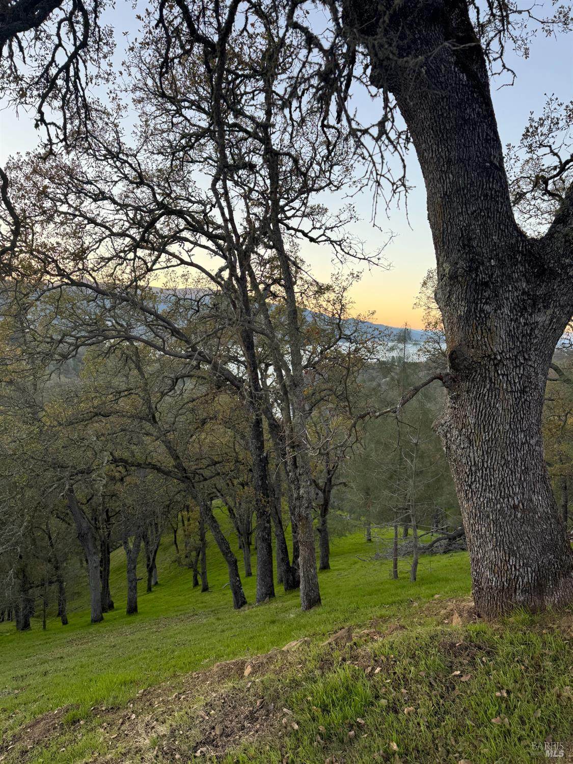 1135 Steele Canyon Road - Photo 1