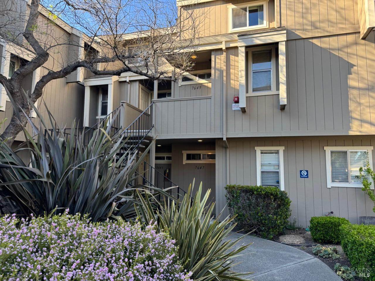 7643 Camino Colegio - Photo 1