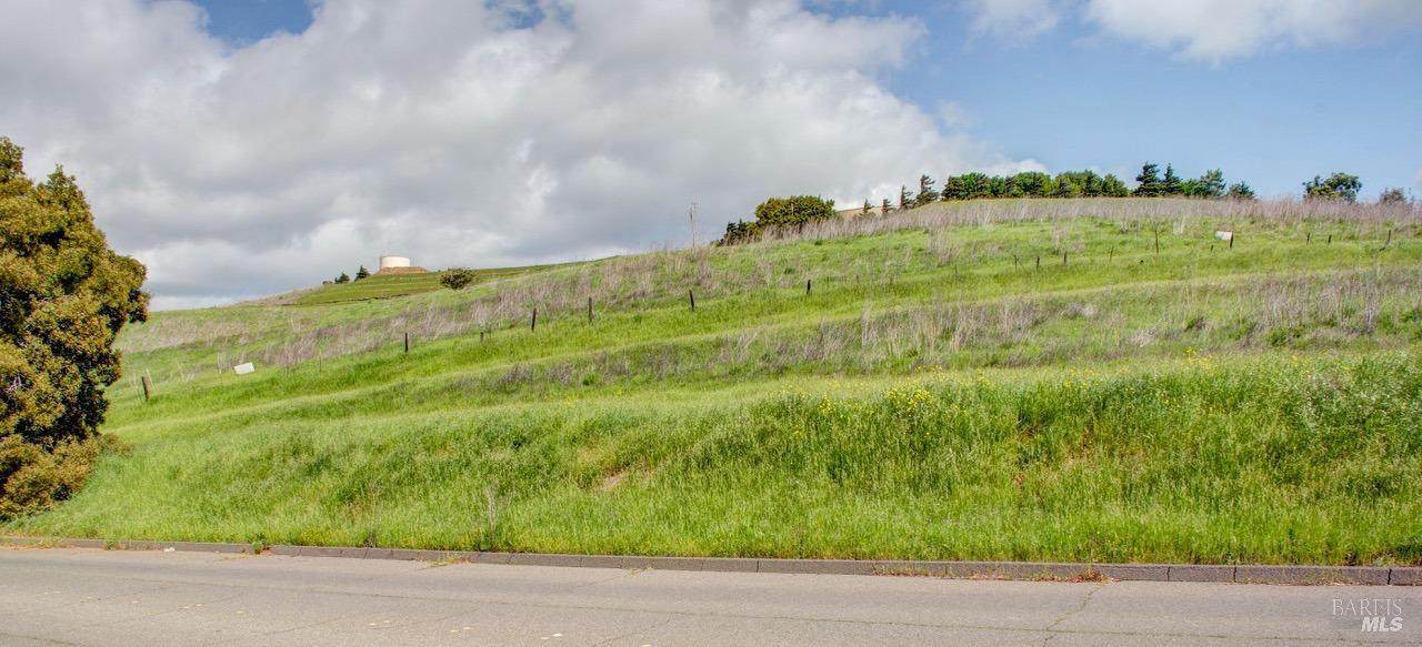 0 Eucalyptus Drive - Photo 1