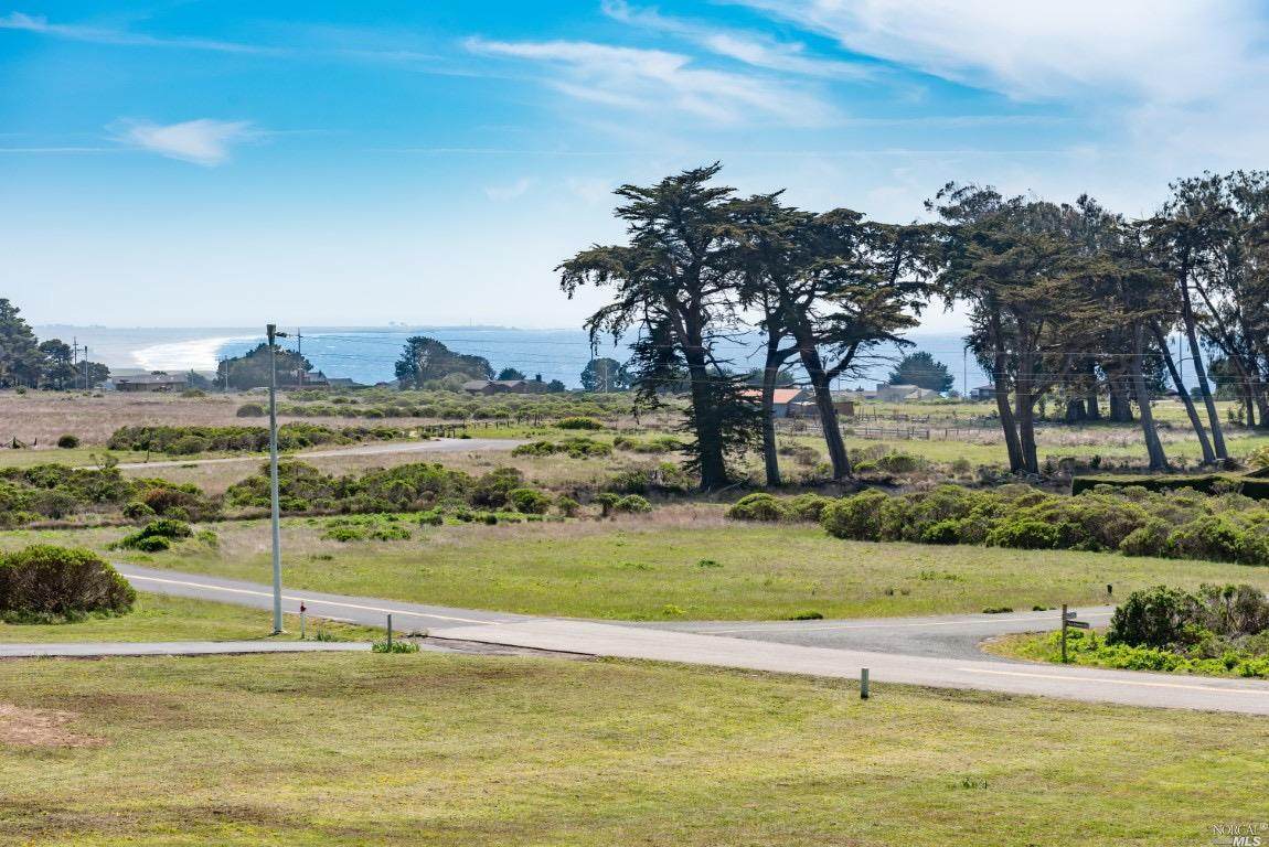 43610 Sea Cypress Drive - Photo 1