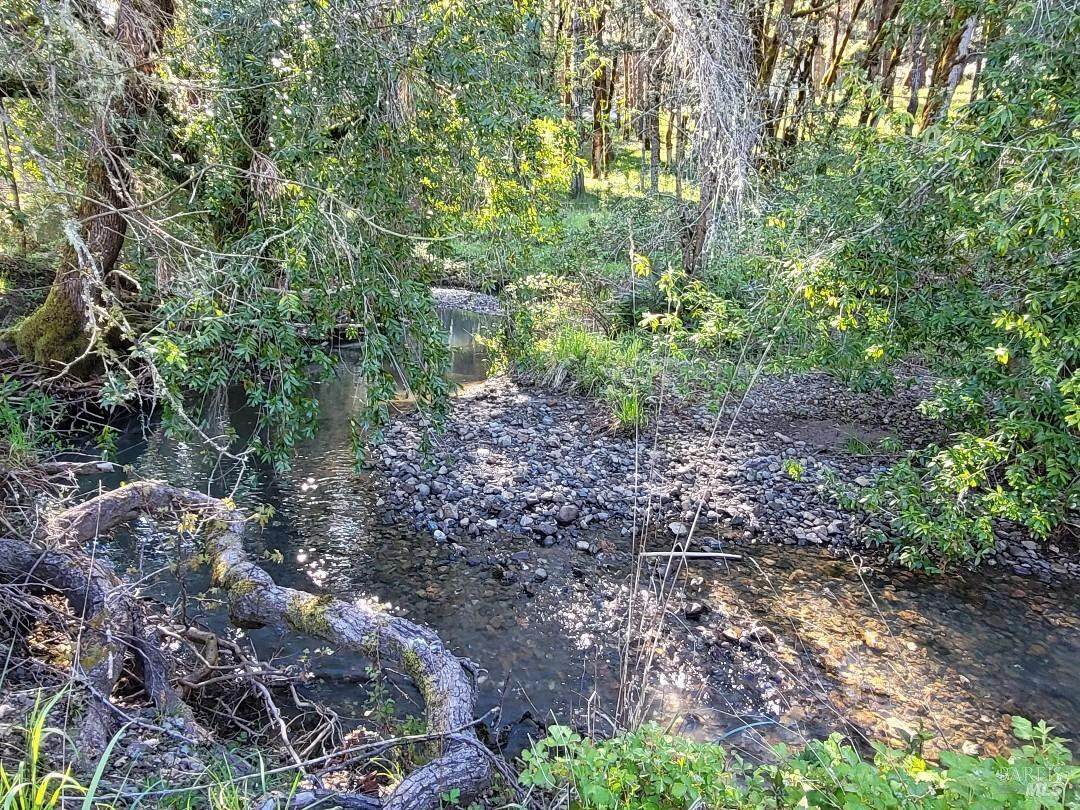 0 Muir Mill Road - Photo 1