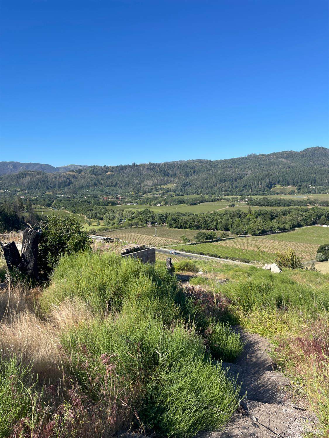 3500 Silverado Trail - Photo 1