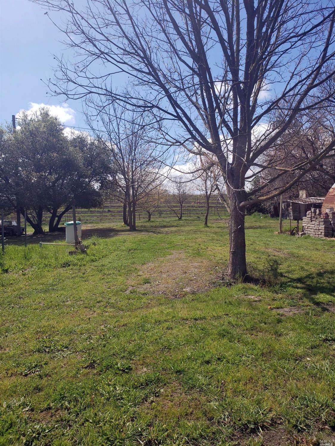 1597 Las Amigas Road - Photo 1