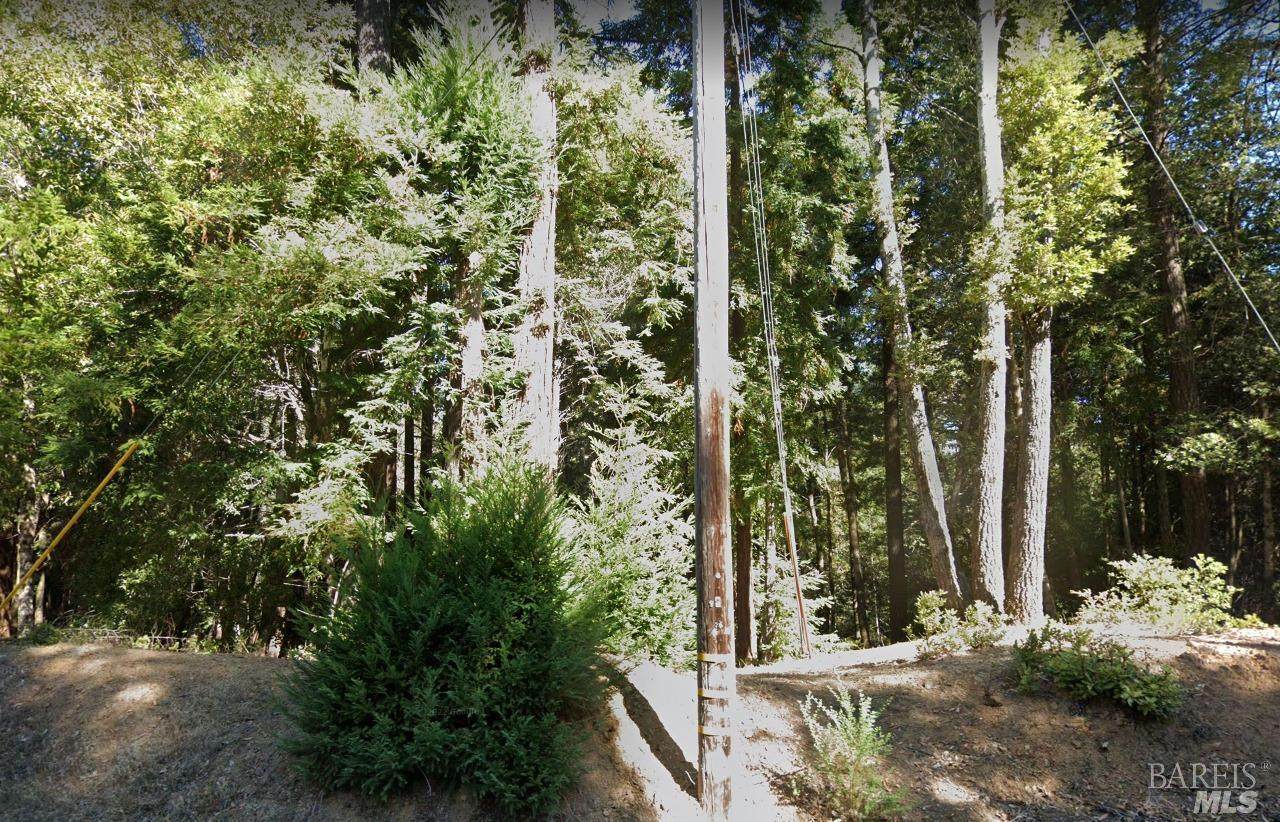 24297 Lilac Road - Photo 1