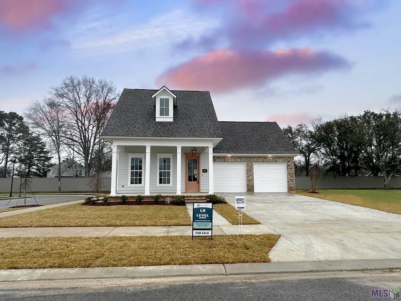 14203 Haile Way - Photo 1