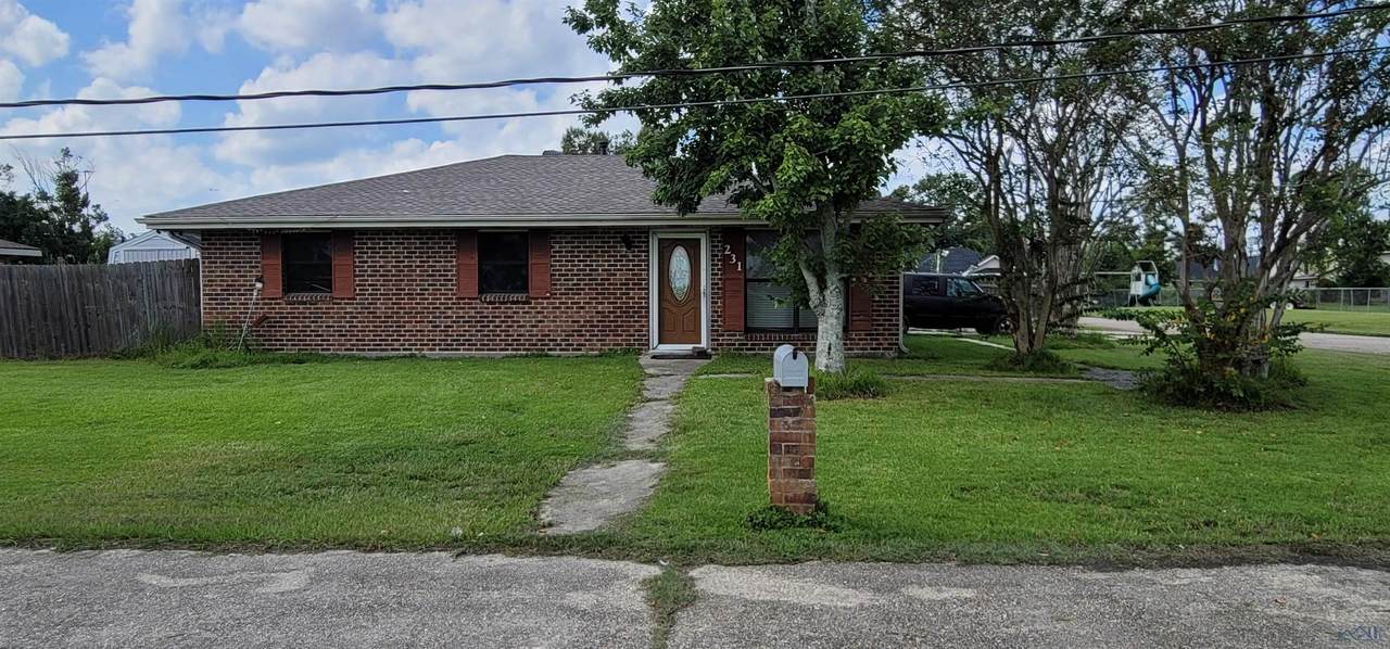 231 Jean Ellen Avenue - Photo 1