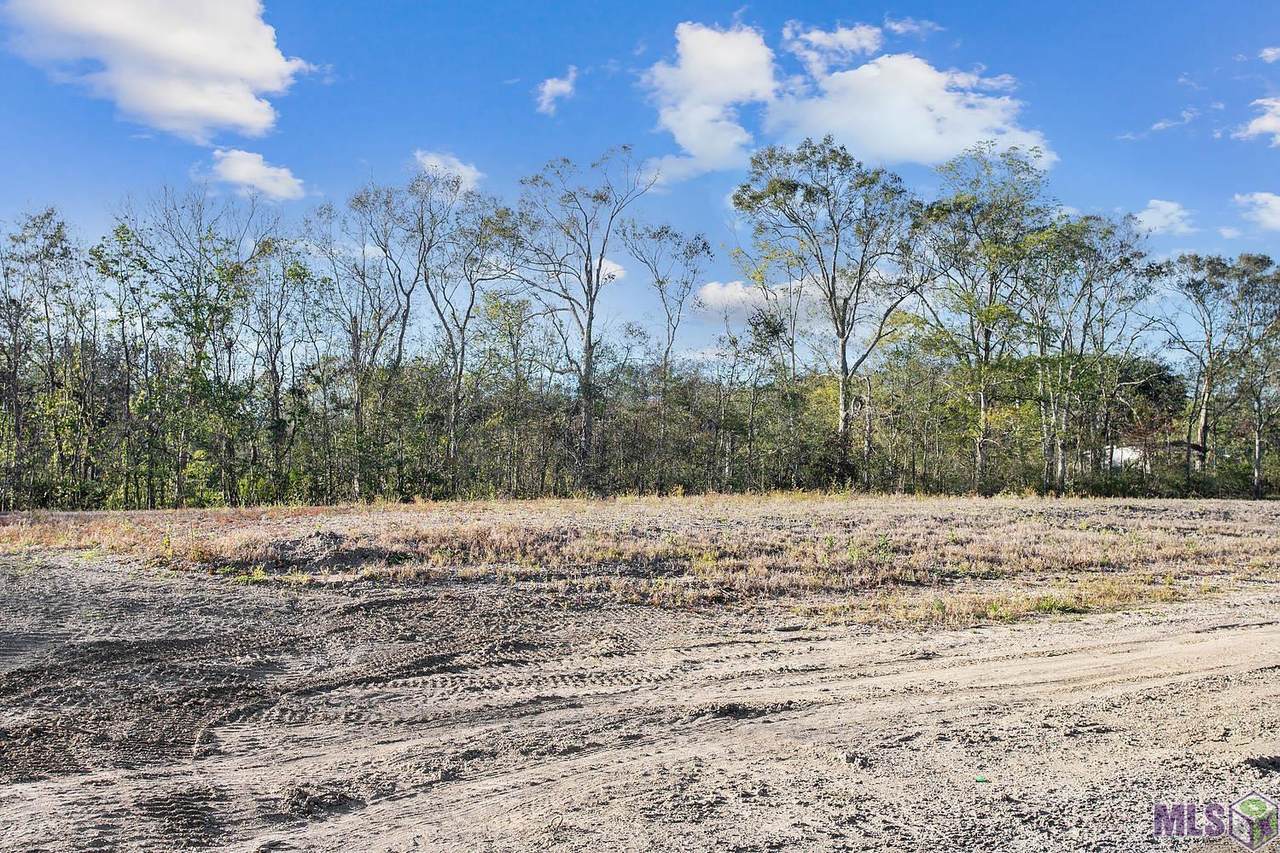 10335 Bayou Crossing - Photo 1
