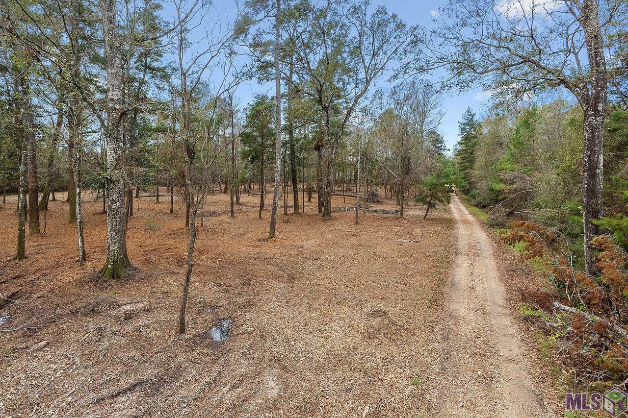 12918 Whitetail Dr - Photo 1