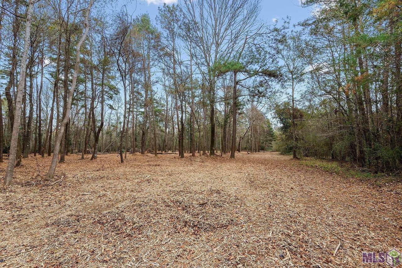 12918 Whitetail Dr - Photo 1