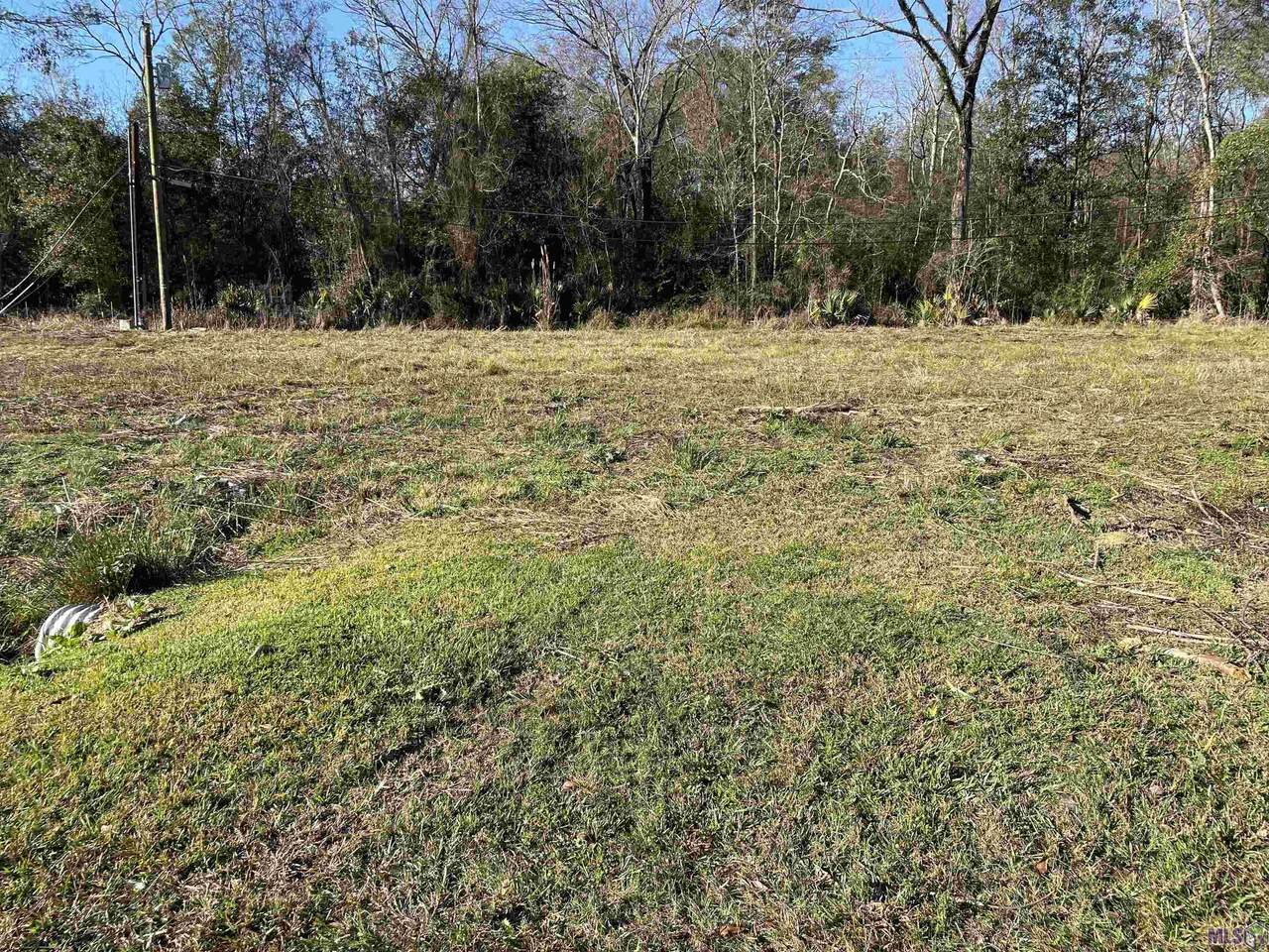 25541 Rosedown Dr - Photo 1