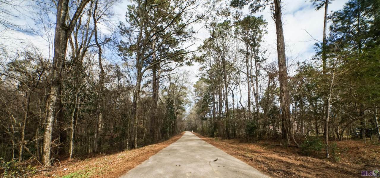 LOT 3-B-2 Old Laurel Hill Rd - Photo 1