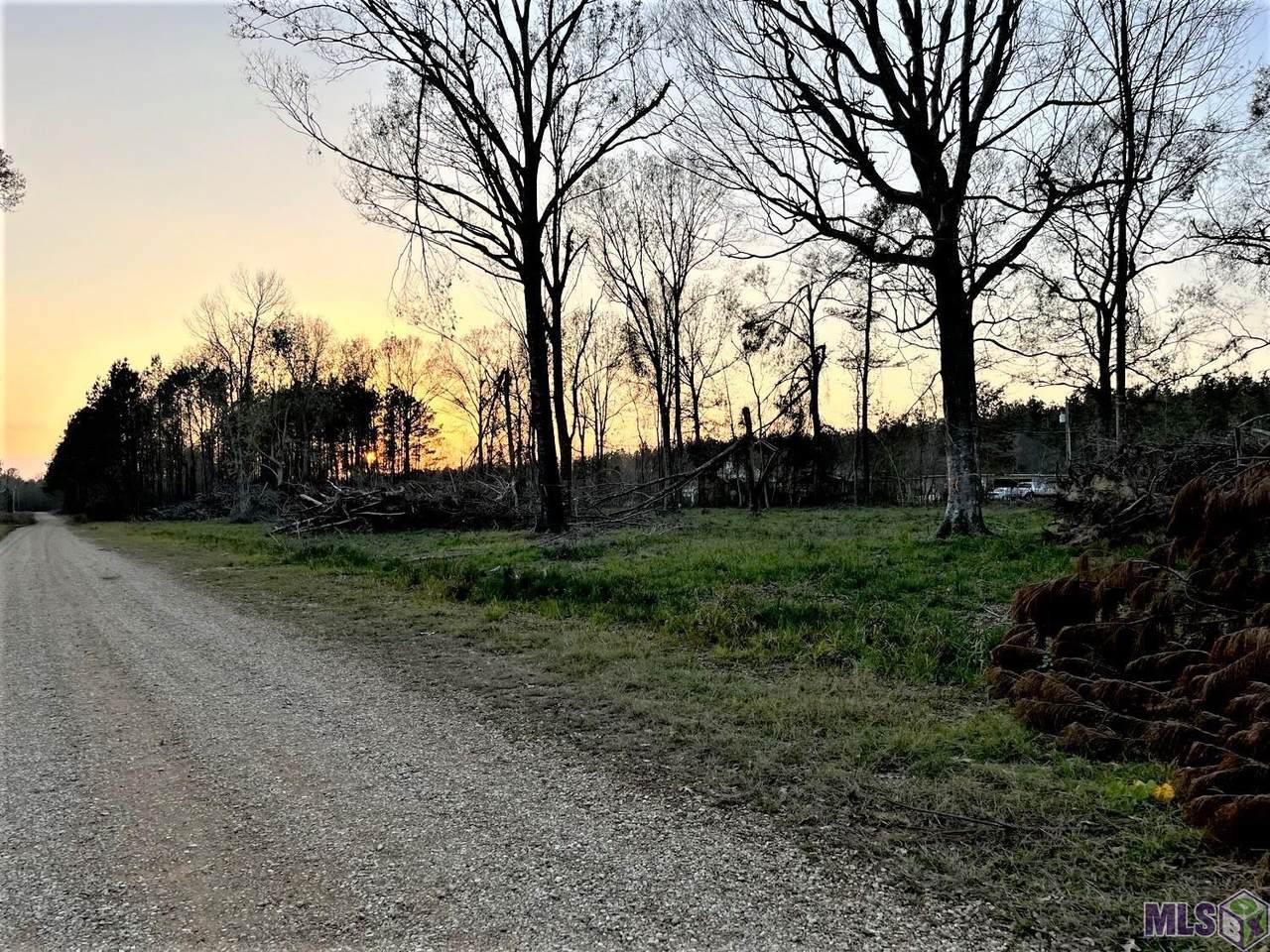 Tract B-3 King George Bay Rd - Photo 1