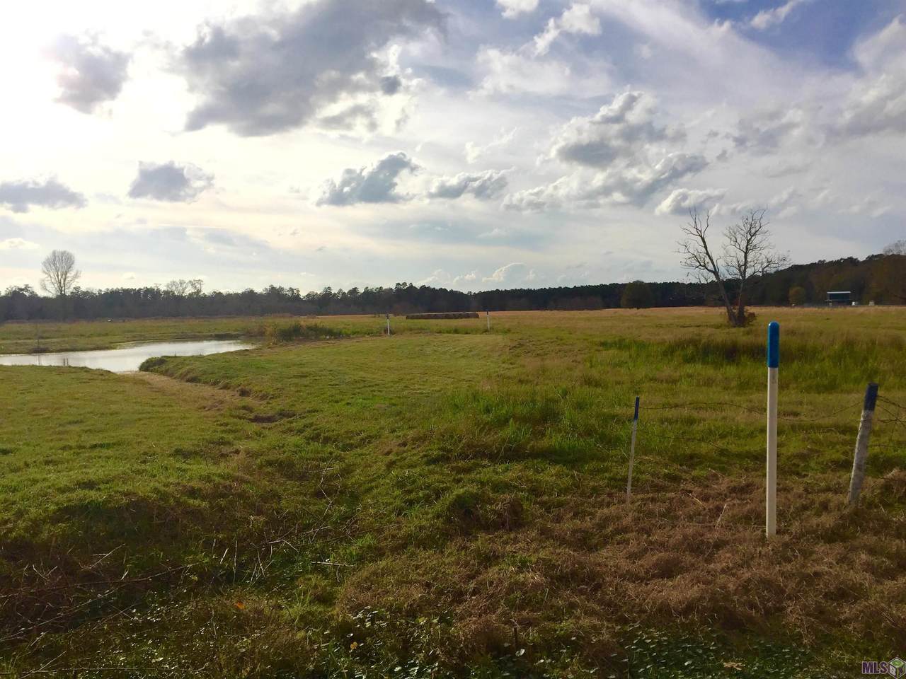 Stoney Point Burch Rd - Photo 1