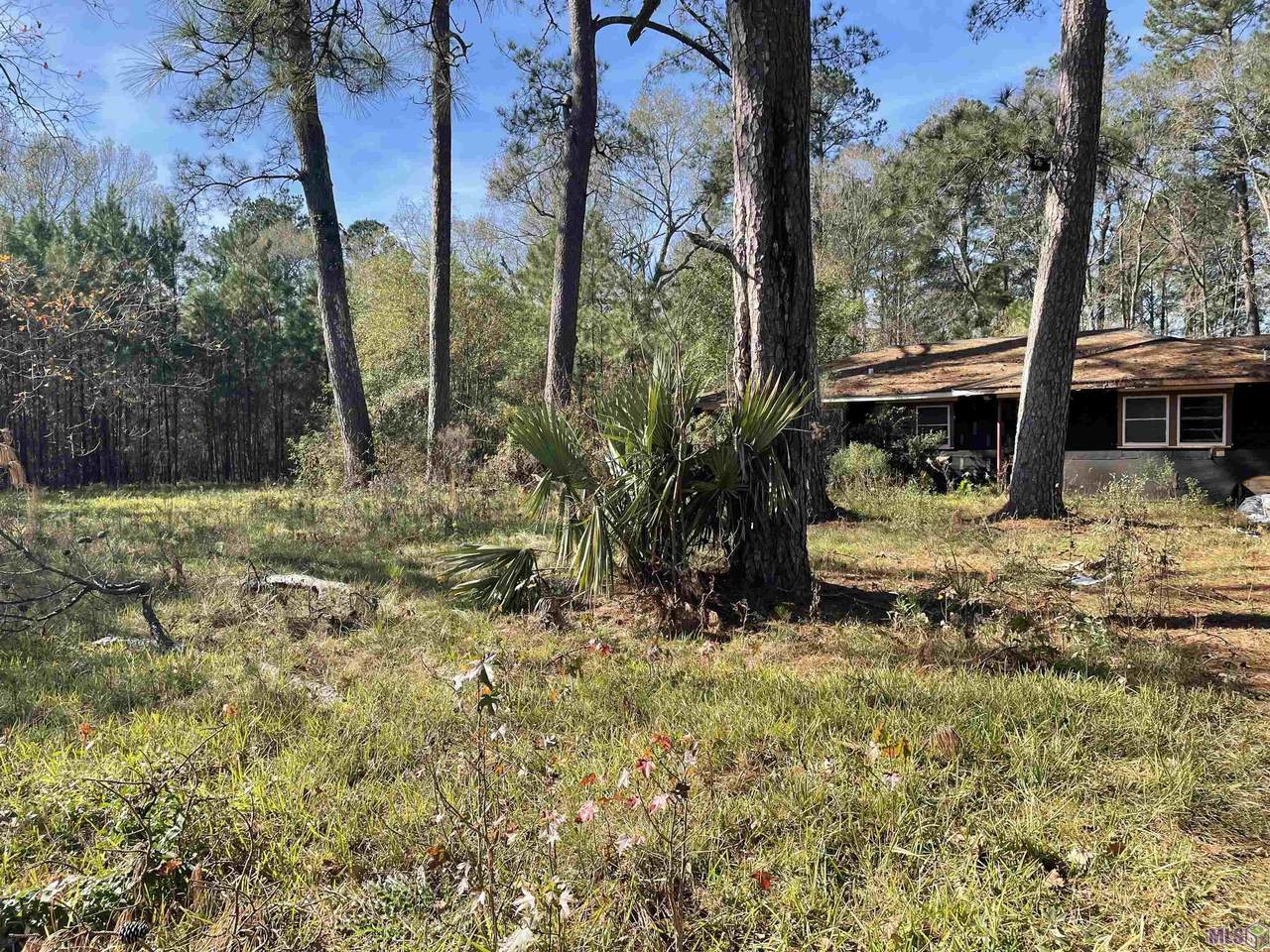 27037 Walker South Rd - Photo 1