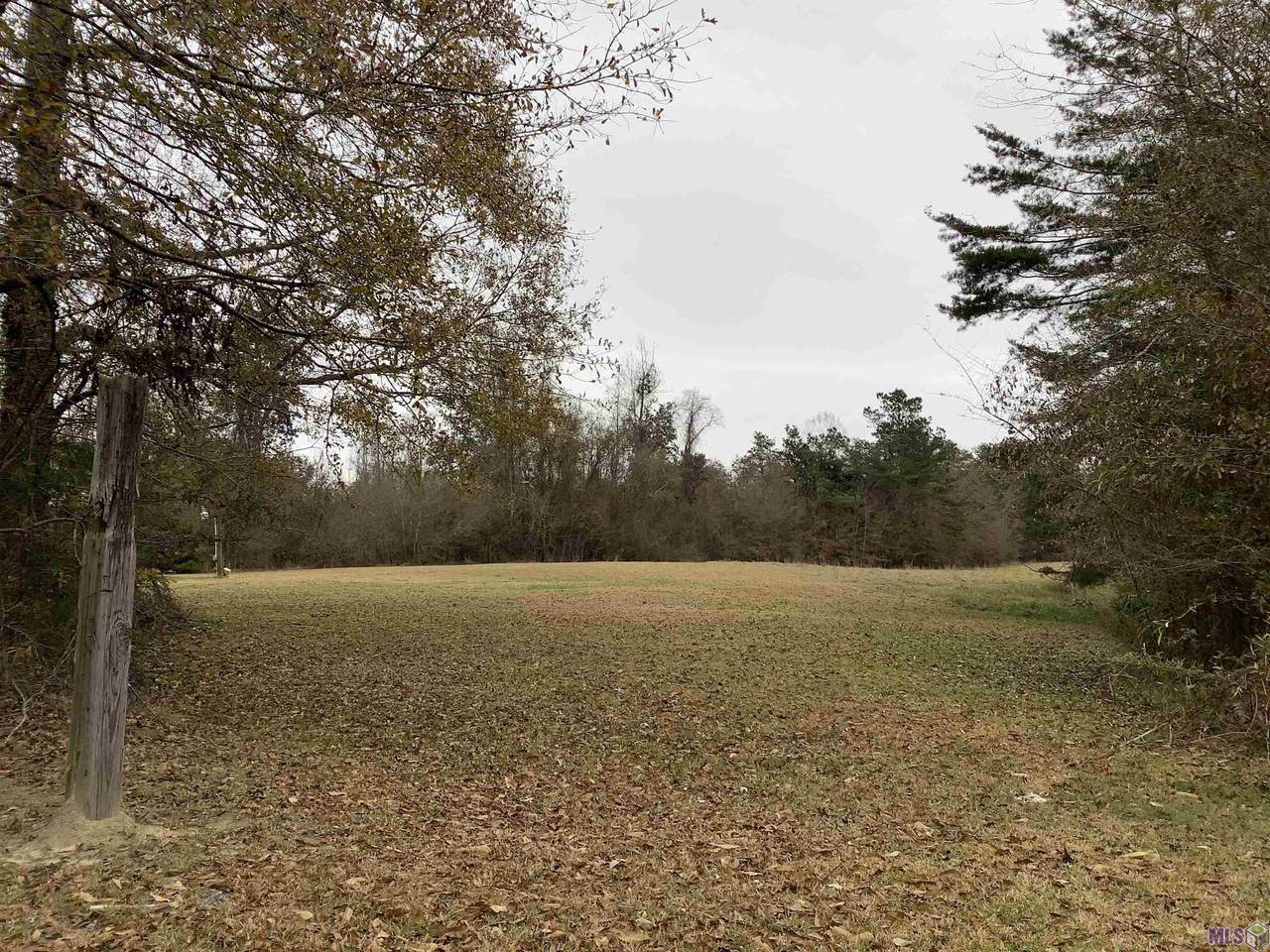 TBD Simms Rd - Photo 1