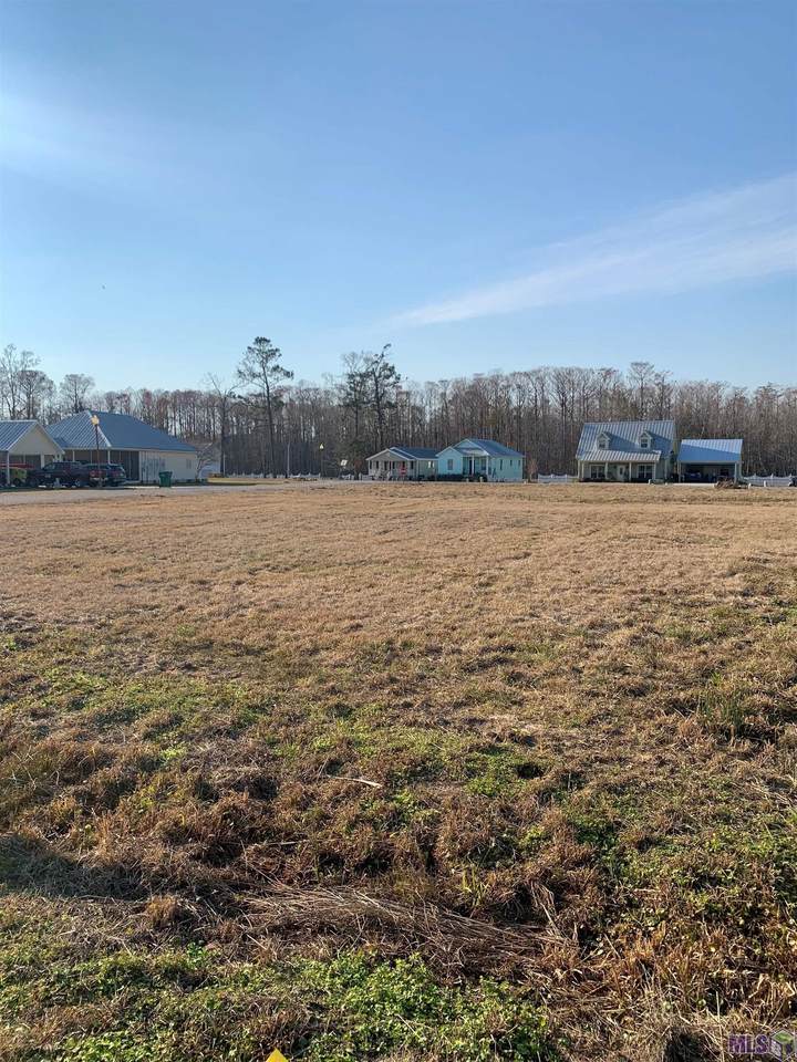 26299 Indian Run Dr - Photo 1