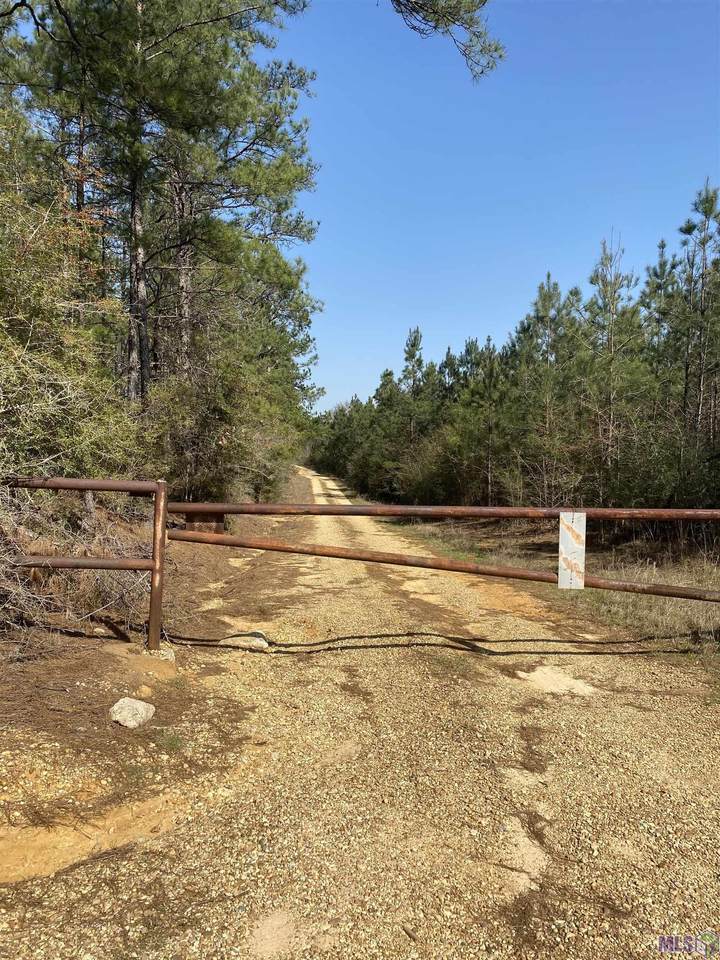 TRACT 21 & 28 Sheridan Chapel Rd - Photo 1