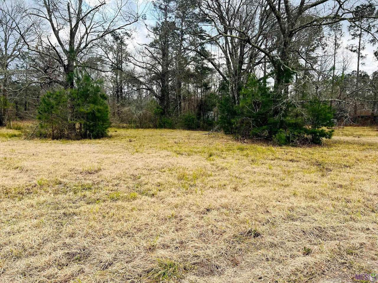 31700 Walker North Rd - Photo 1