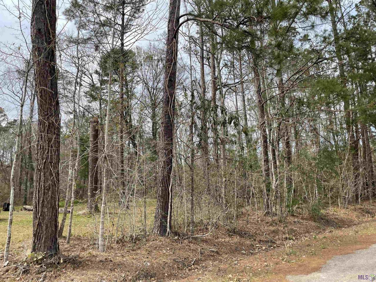 Lot A Shadow Lake Dr - Photo 1