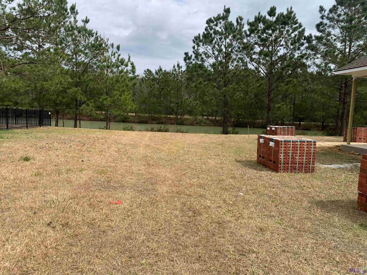 23800 Monarch Point - Photo 1