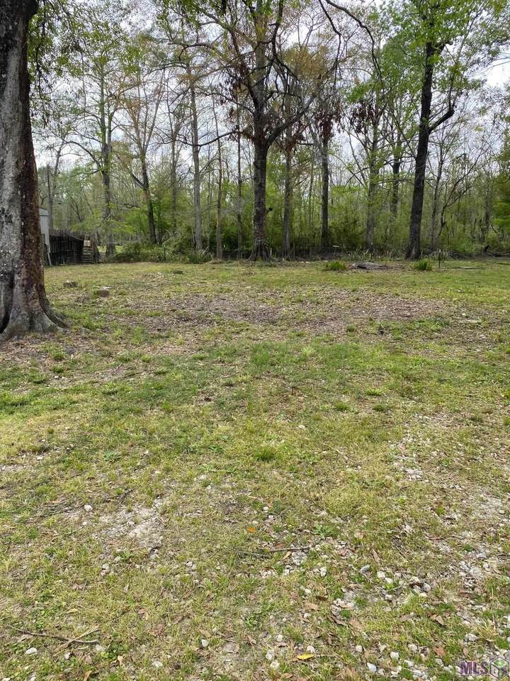13653 Amite Ln - Photo 1