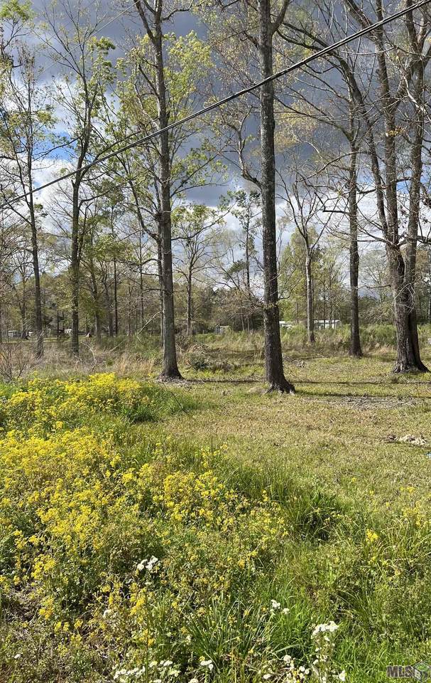 23731 La Hwy 42 - Photo 1