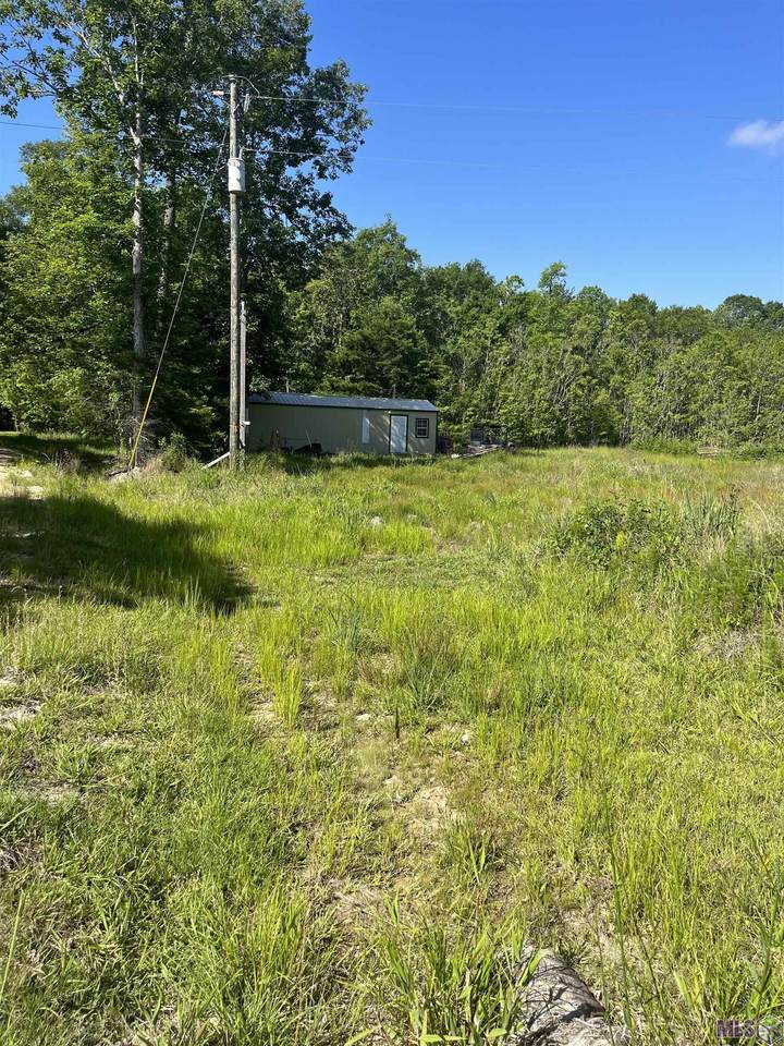 23475 Greenwell Springs Rd - Photo 1