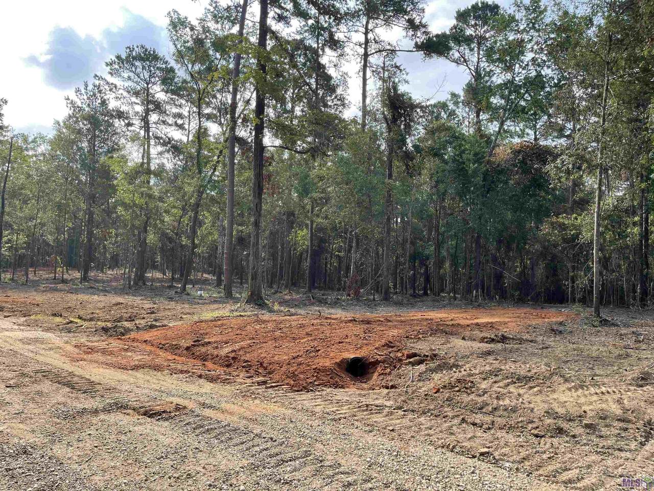 7999 Hepzibah Rd - Photo 1