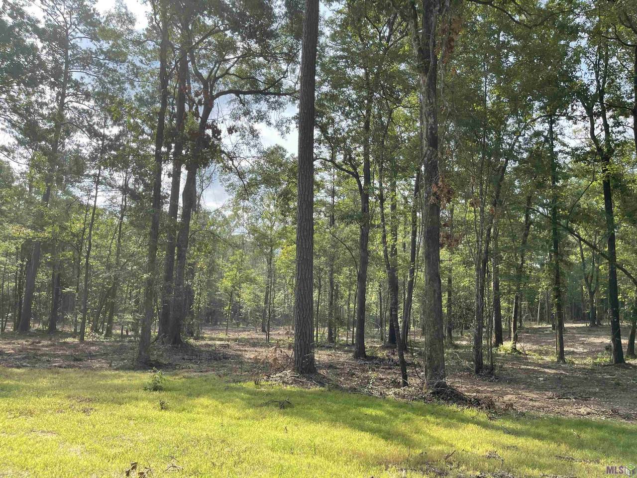 8105 Hepzibah Rd - Photo 1
