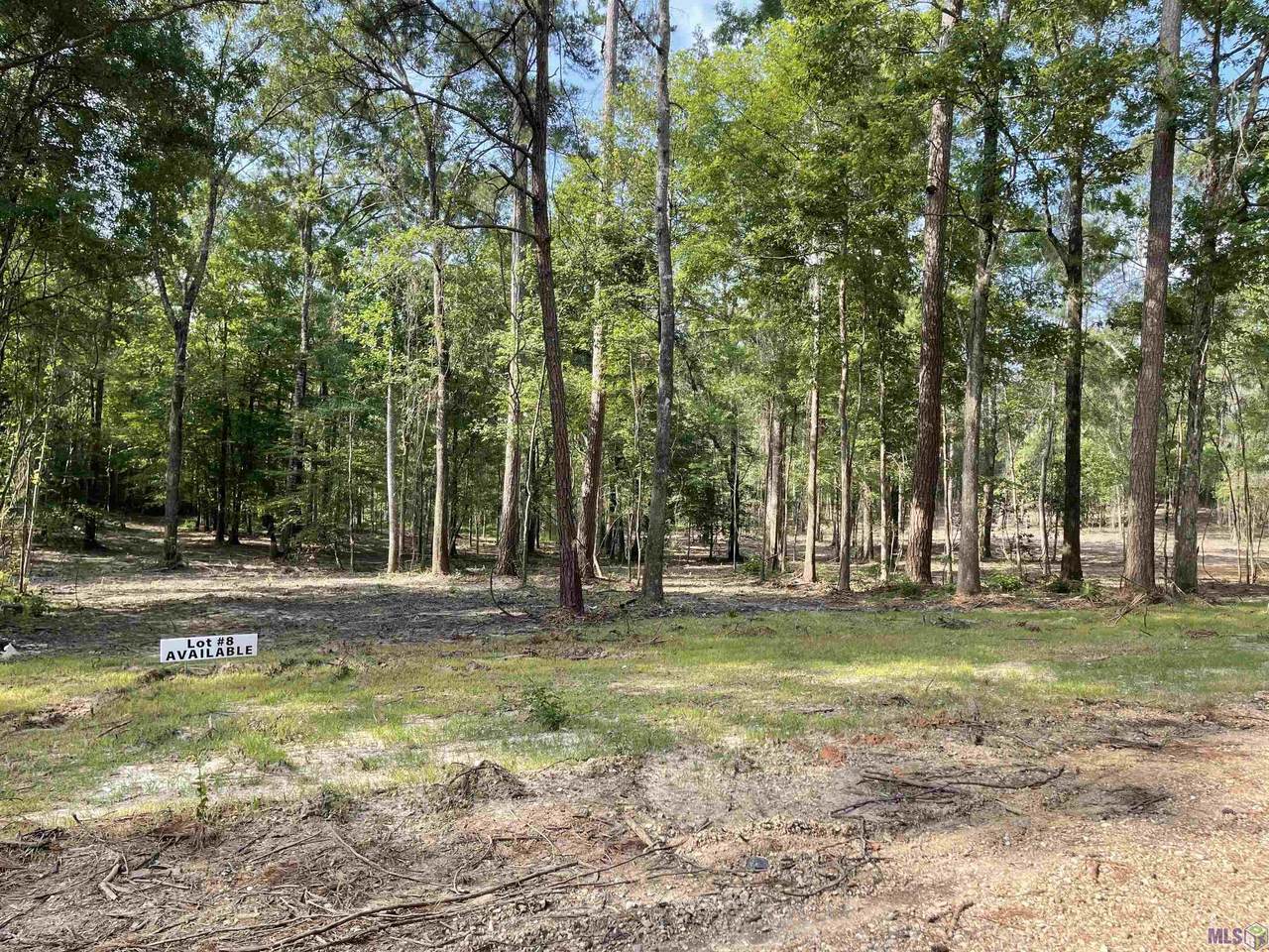 8177 Hepzibah Rd - Photo 1