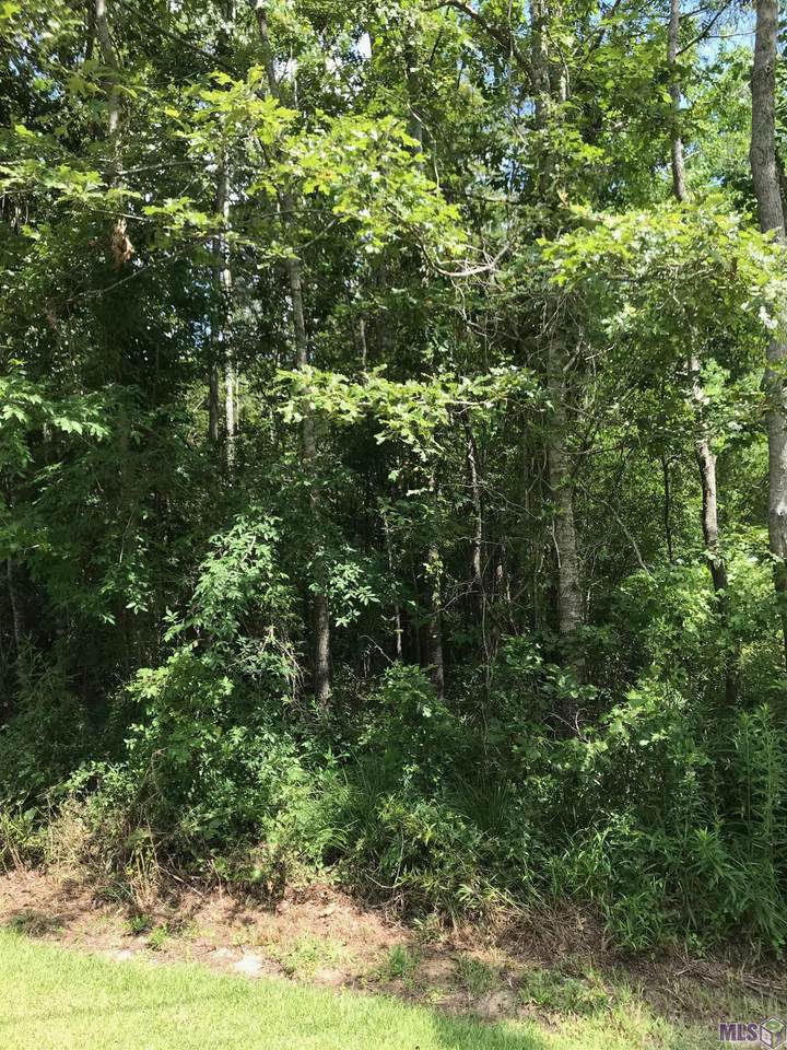 28545 Ridge Ln - Photo 1