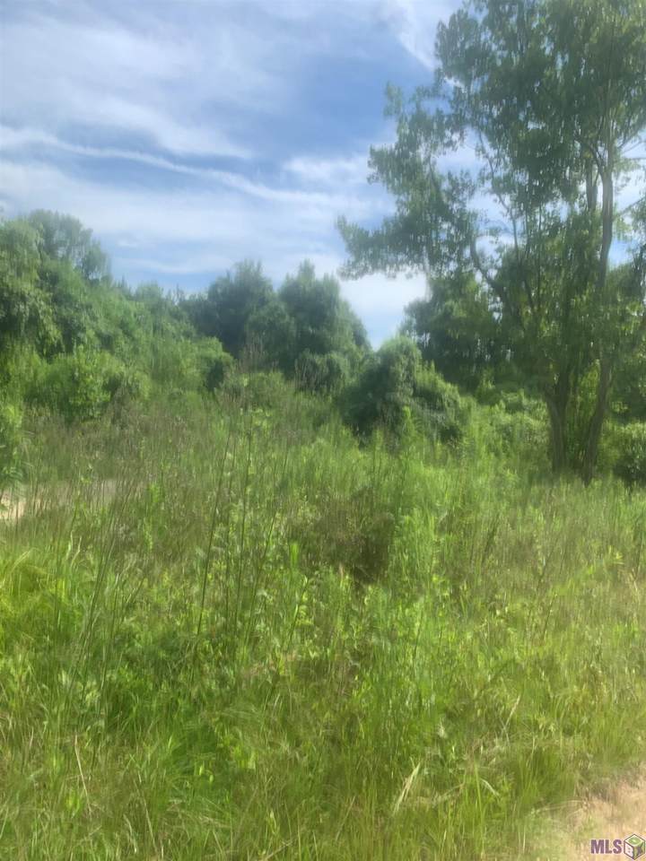TBD Allen Brown Ln - Photo 1