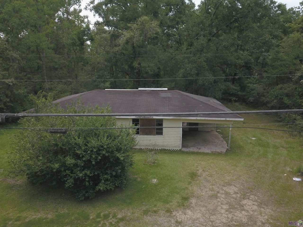 24906 Blood River Rd - Photo 1