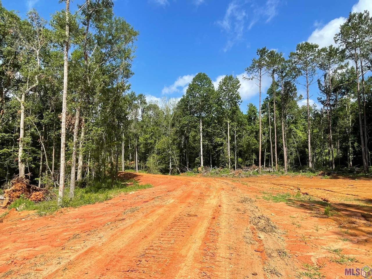TBD Rattlesnake Rd - Photo 1